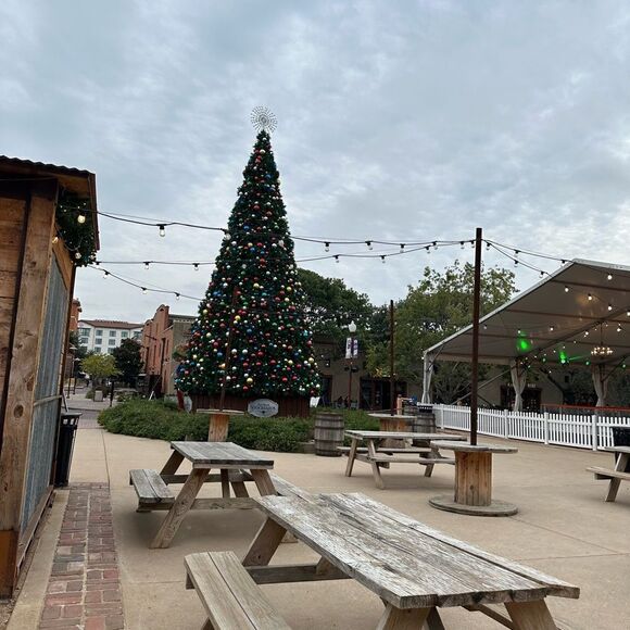 Happy time  - Picture 11 of 14